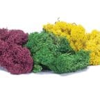 Hornby R7197 Large Autumn Lichen Mix
