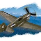 Hobbyboss 80252 1/72 P40N Warhawk