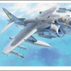 Hasegawa HAD11  1/72 Harrier 2 Plus