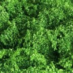 Tasma Foliage Cluster Light Green