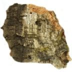 Javis Scenics JMCB Medium Cork Bark